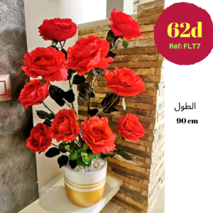 Rosier artificielle Tunisie