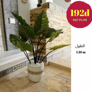 Alocasia (oreille d'éléphant) Artificiel avec pot en céramique