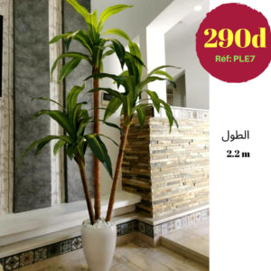 PALMIER ARTIFICIEL TUNISIE