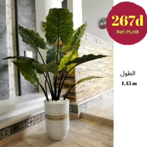 Alocasia (oreille d'éléphant) Artificiel