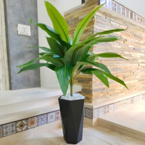 Dracaena ARTIFICIEL