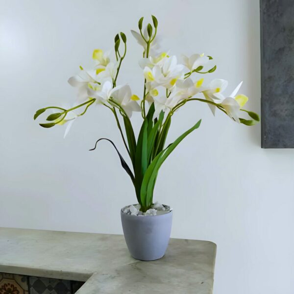 Cymbidium ARTIFICIEL