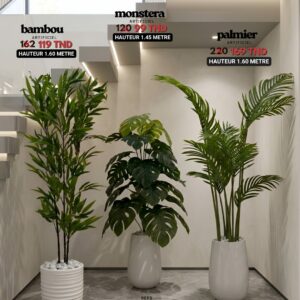 Pack de 3 plantes artificielles avec pots blancs pour décoration sous escalier : Bambou, Monstera et Palmier - Livraison gratuite Tunisie